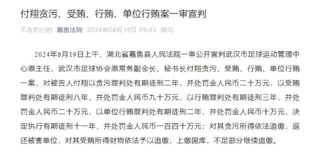 注册观看-武汉足协原秘书长付翔获刑11年 并处罚金140万
